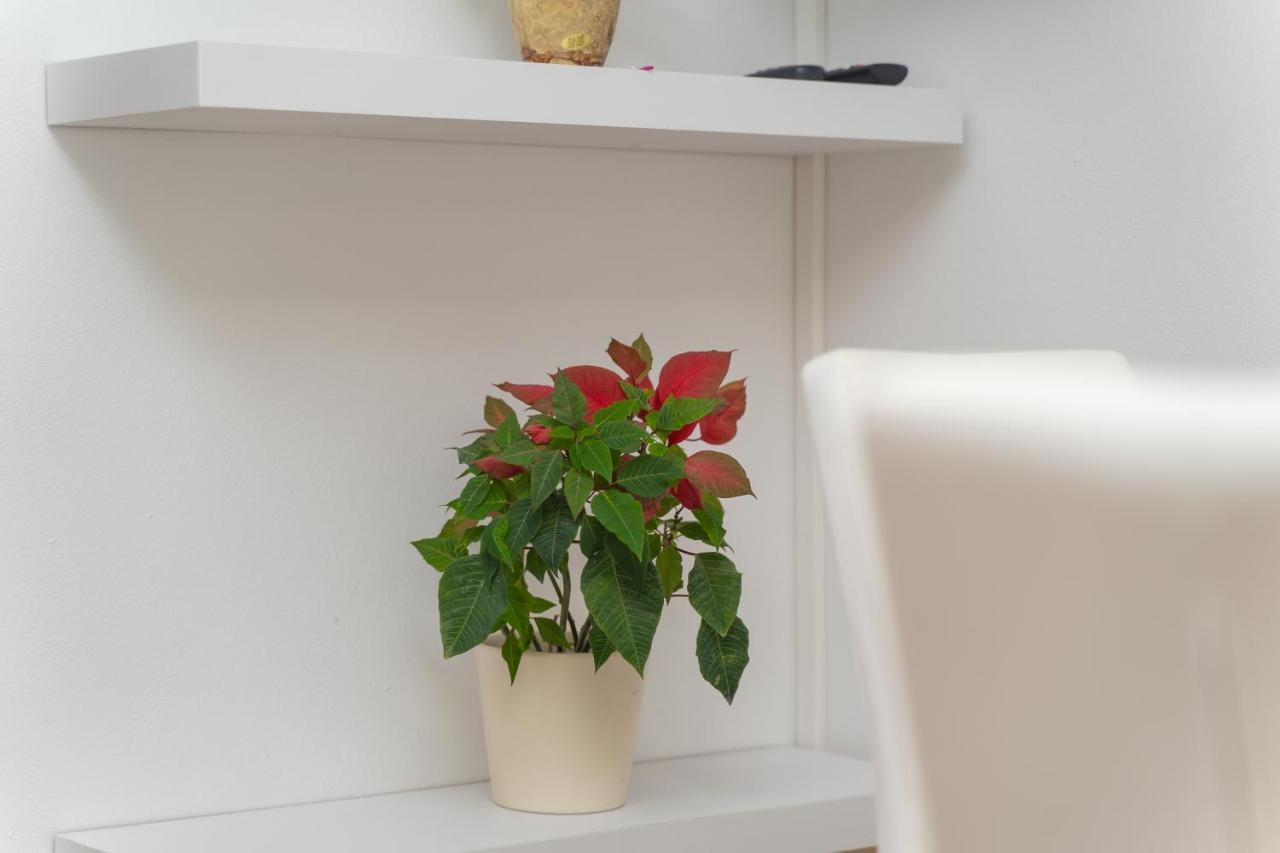 Apartments Divanovic دوبروفينك المظهر الخارجي الصورة